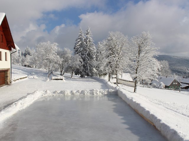 kluziště